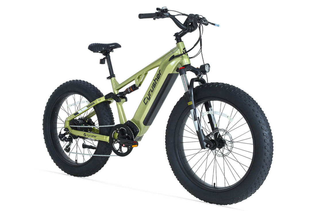Rover Off-Road E-bike